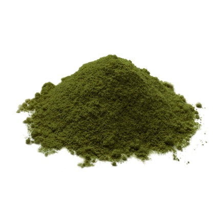 Pure Original Ingredients Chlorella Powder 2 lb – Superfood, Freshwater Algae