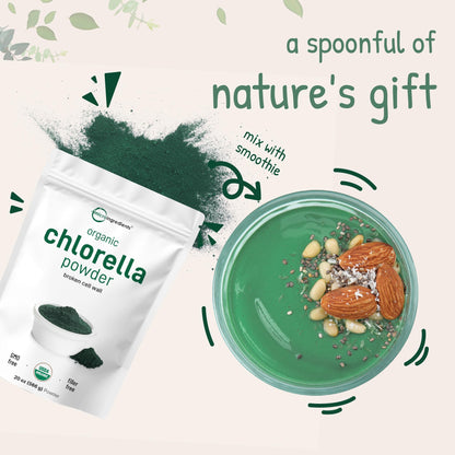 Micro Ingredients Organic Chlorella Powder – 20 oz | Broken Cell Wall | Vegan & Non-GMO
