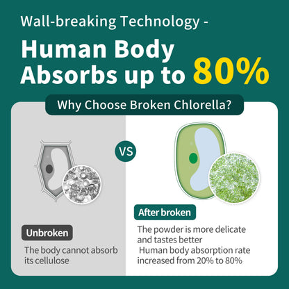 Chlorella Powder Natural 10 oz | Chlorophyll Powder for Immune Support, Liver Function, Vegan Protein & Vitamins