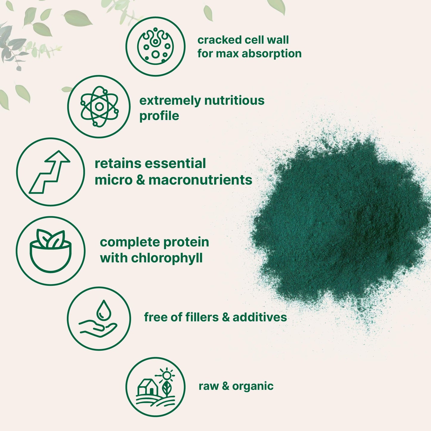 Micro Ingredients Organic Chlorella Powder – 20 oz | Broken Cell Wall | Vegan & Non-GMO