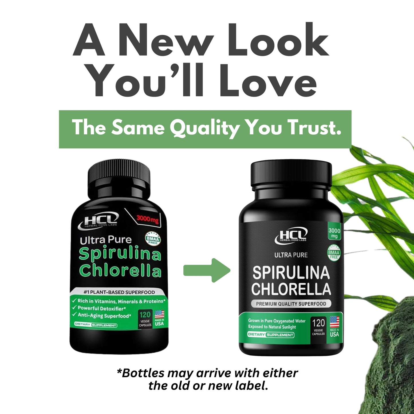 Chlorella Spirulina Capsules 3000 mg – BMAA Free | Blue-Green Algae