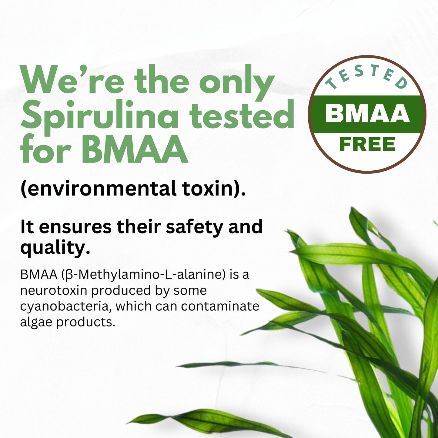 Chlorella Spirulina Capsules 3000 mg – BMAA Free | Blue-Green Algae