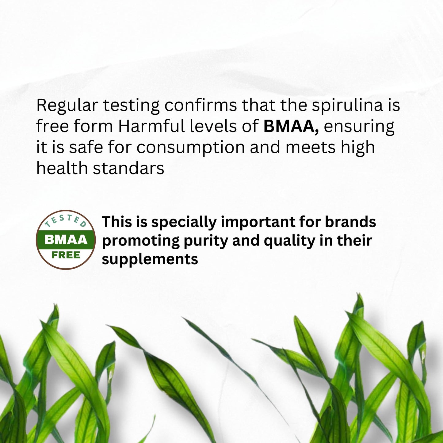 Chlorella Spirulina Capsules 3000 mg – BMAA Free | Blue-Green Algae