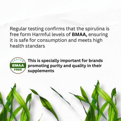 Chlorella Spirulina Capsules 3000 mg – BMAA Free | Blue-Green Algae