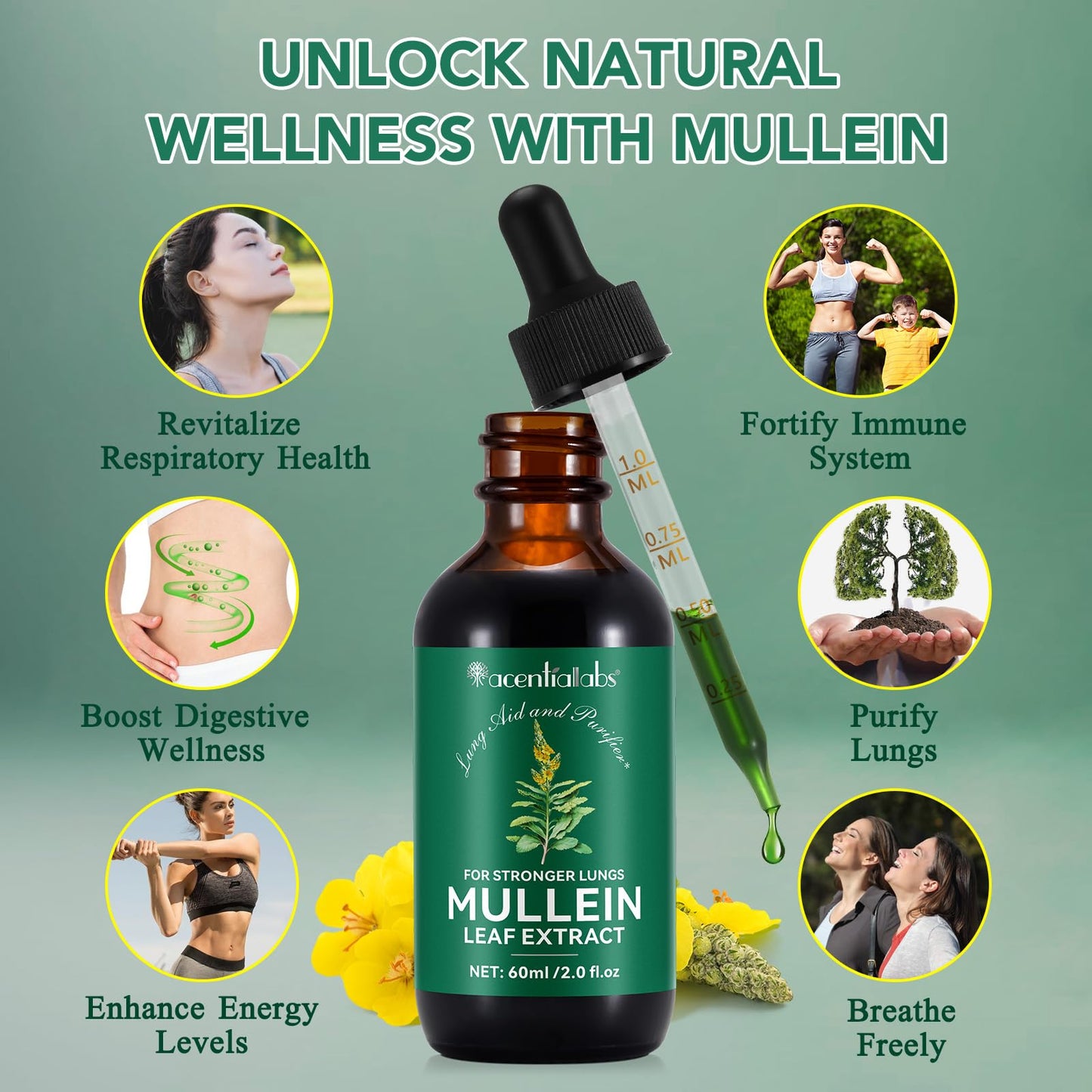 Mullein Drops for Lungs – Natural Leaf Extract & Chlorophyll (2 oz)