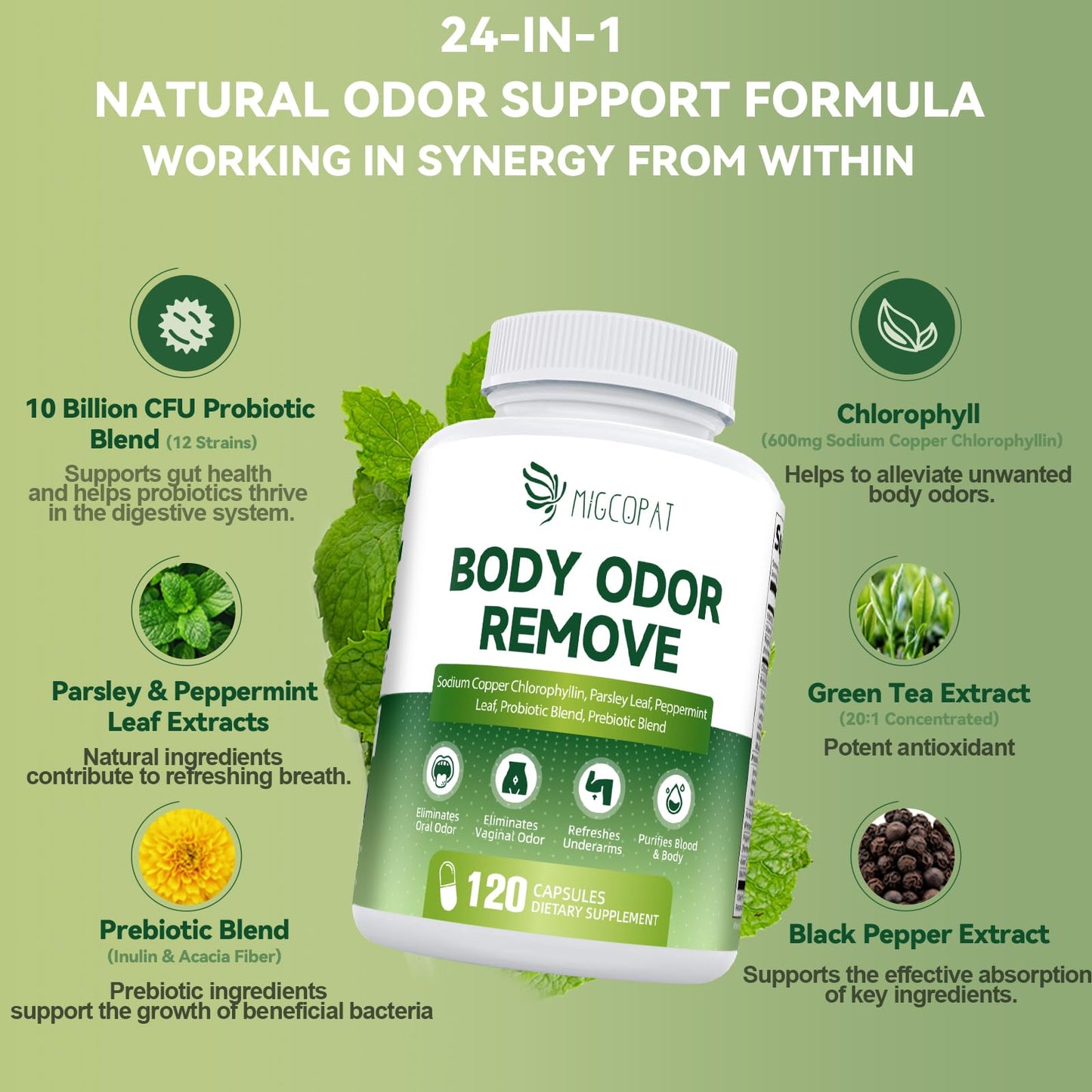 Chlorophyll Body Deodorizing Capsule - 10B CFU Probiotics, 120 Caps