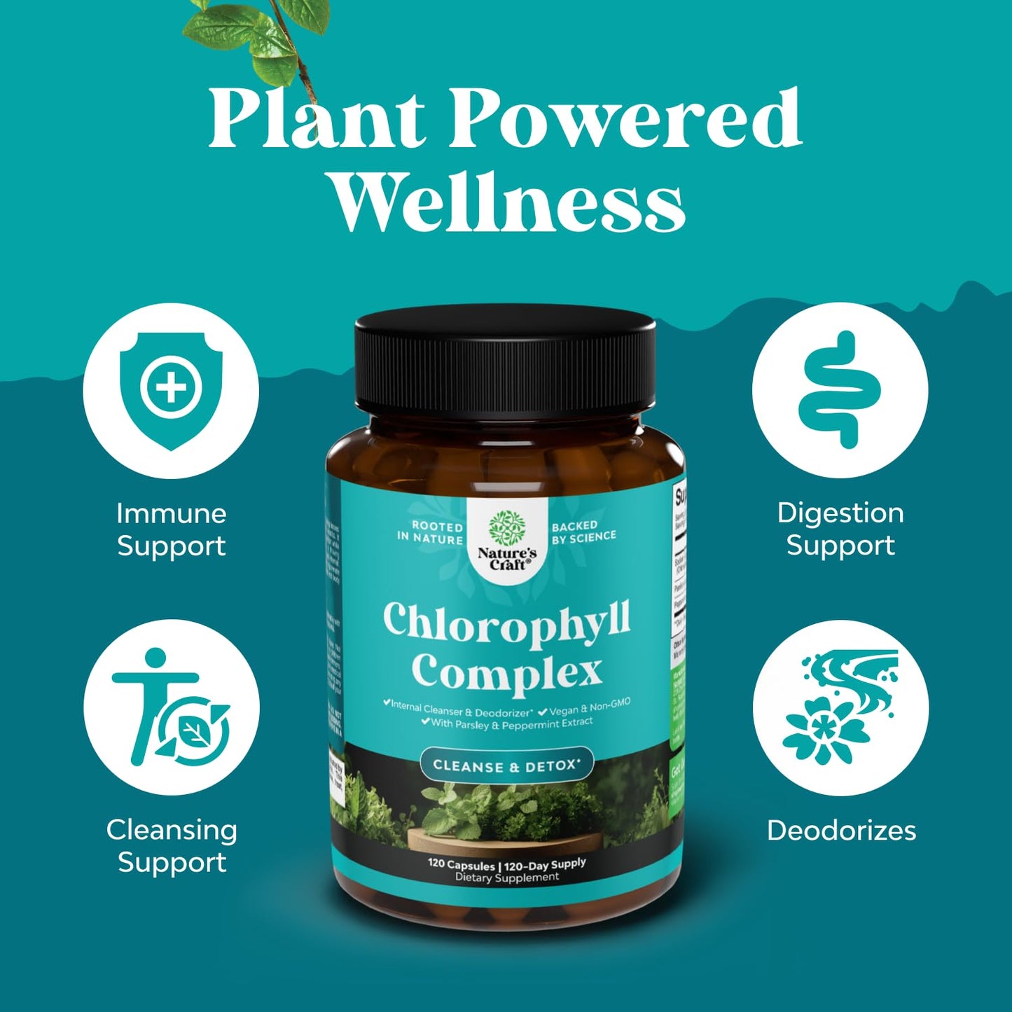 Chlorophyll Detox Capsules for Body Odor – Mint & Parsley (Vegan, Non-GMO, Gluten Free) 120ct