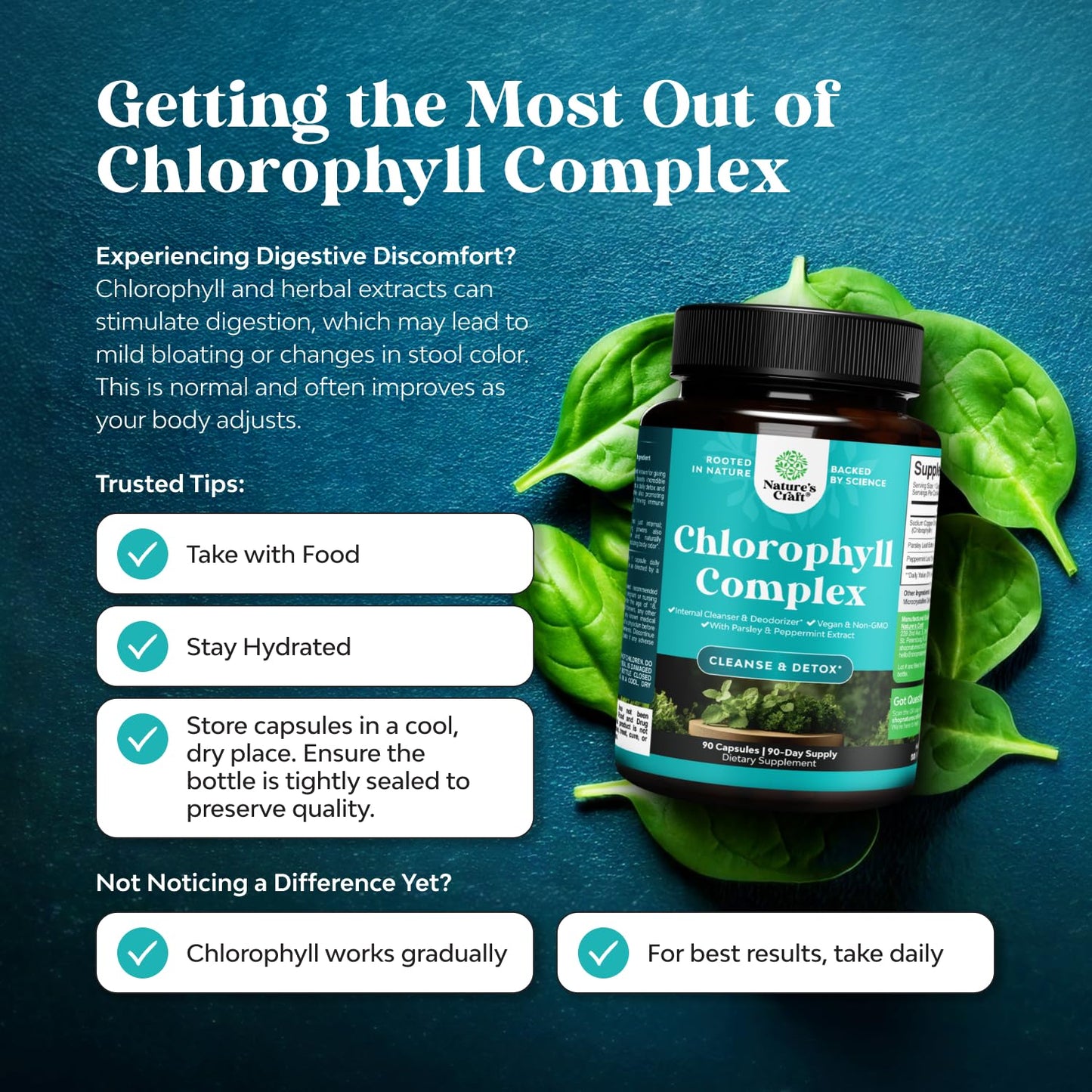 Chlorophyll Capsules for Body Odor & Detox | Mint & Parsley | Vegan Non-GMO Gluten Free (90ct)