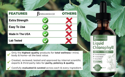 [2-Pack] Liquid Chlorophyll Drops – All-Natural Concentrate for Immune Support, Energy & Digestion | Mulberry Leaves - 240 Servings