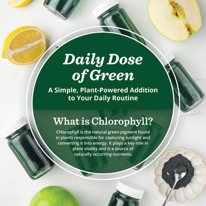 All About Juicing Chlorophyll Green Juice Shots - Clean Energy, Detox, Alkalize | PuriVibe