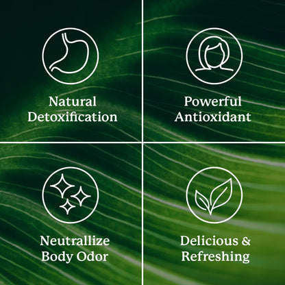 Nature's Sunshine Chlorophyll 60 Softgel Capsules – Digestion, Immunity & Detox Support