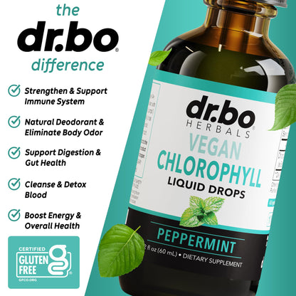Chlorophyll Liquid Drops – Body Detox, Odor Cleanse & Immune Support | Vegan 2 oz