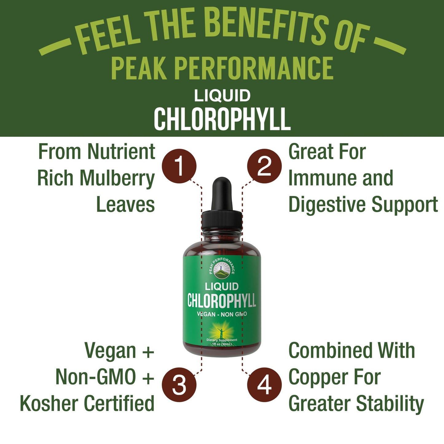 Chlorophyll Liquid Drops – Ultra High Purity, Alcohol Free, Non-GMO, Gluten Free | Immune & Digestive Support