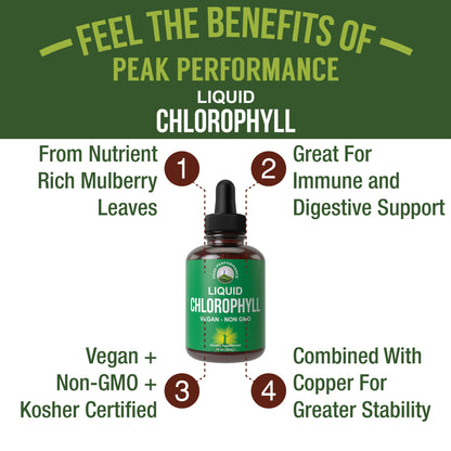 Chlorophyll Liquid Drops – Ultra High Purity, Alcohol Free, Non-GMO, Gluten Free | Immune & Digestive Support