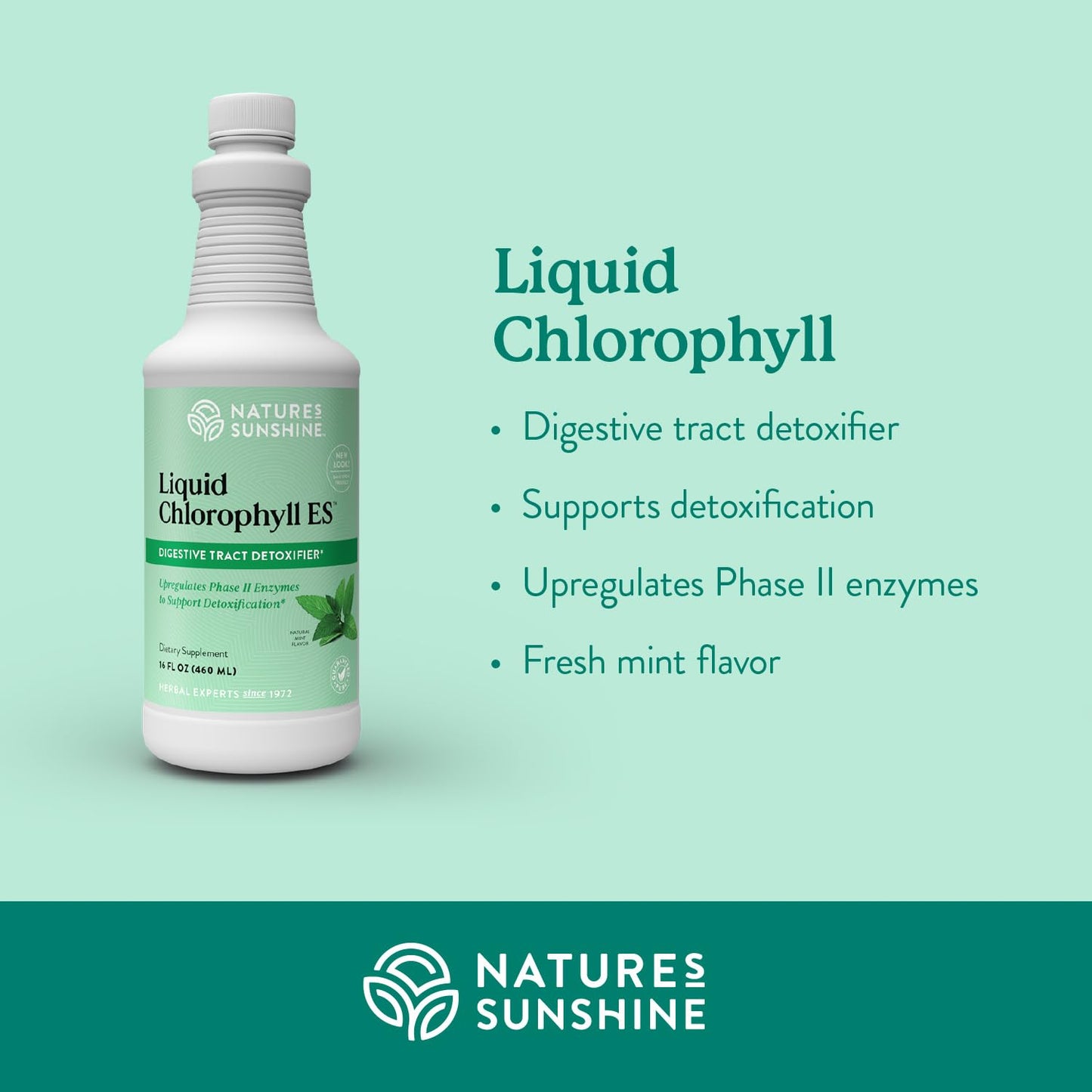 Nature's Sunshine Liquid Chlorophyll Extra Strength – Immunity & Detox (16 oz)