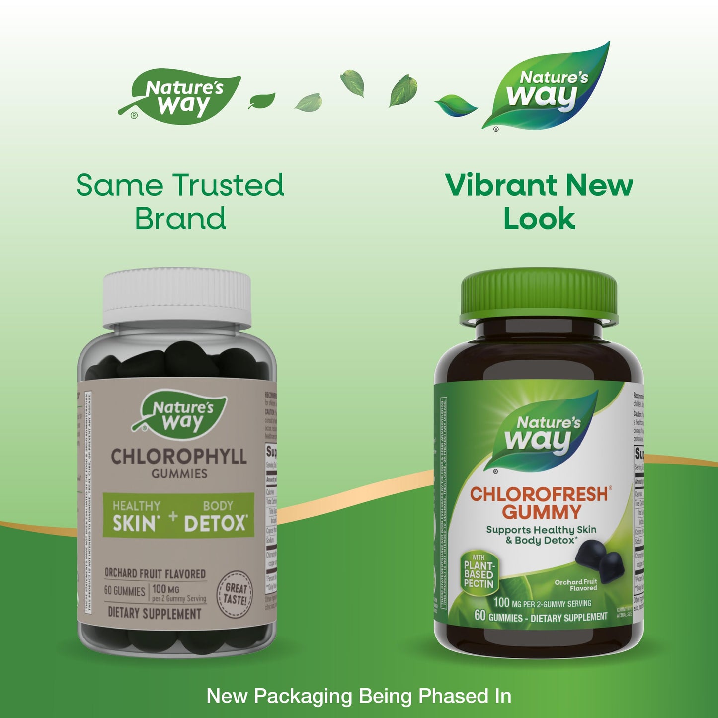 Nature’s Way Chlorofresh Chlorophyll Gummies – Orchard Fruit Flavor, 60 Gummies