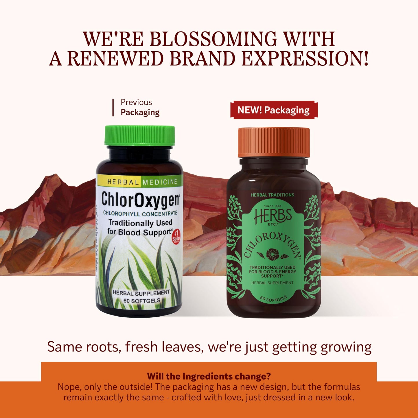 Herbs Etc. ChlorOxygen Chlorophyll Concentrate – Blood Circulation & Energy Support (60 Softgels)