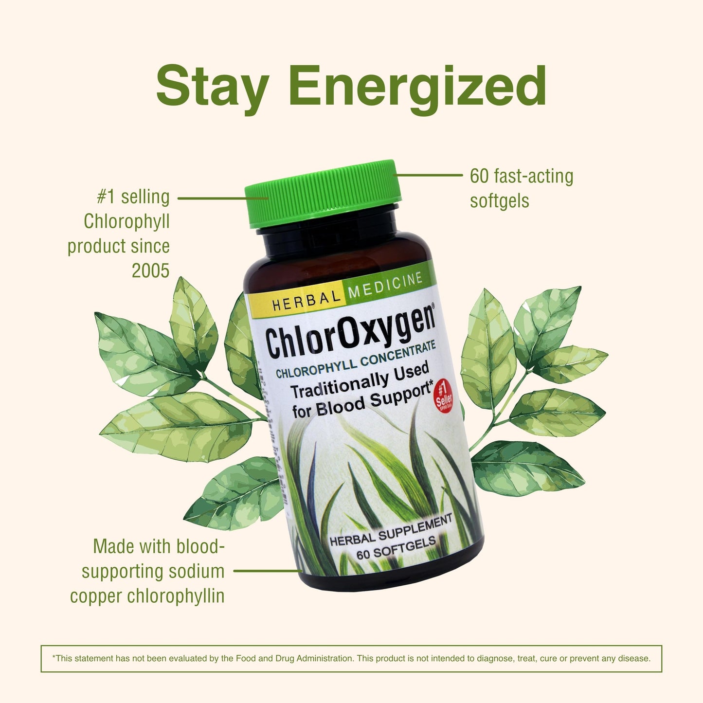 Herbs Etc. ChlorOxygen Chlorophyll Concentrate – Blood Circulation & Energy Support (60 Softgels)