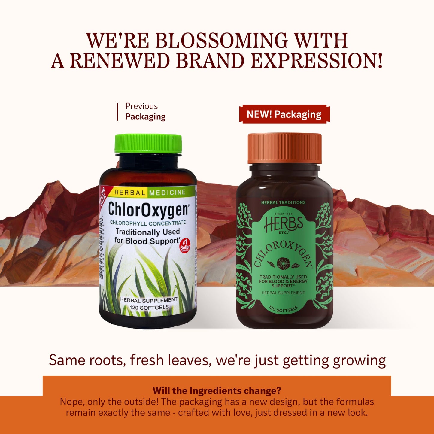 Herbs Etc. ChlorOxygen Chlorophyll Concentrate - 120 Softgels | Blood Health & Energy