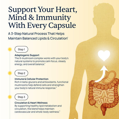 Cholibrium 9-in-1 Mushroom Complex Capsules – Immune Support, Focus & Heart Health
