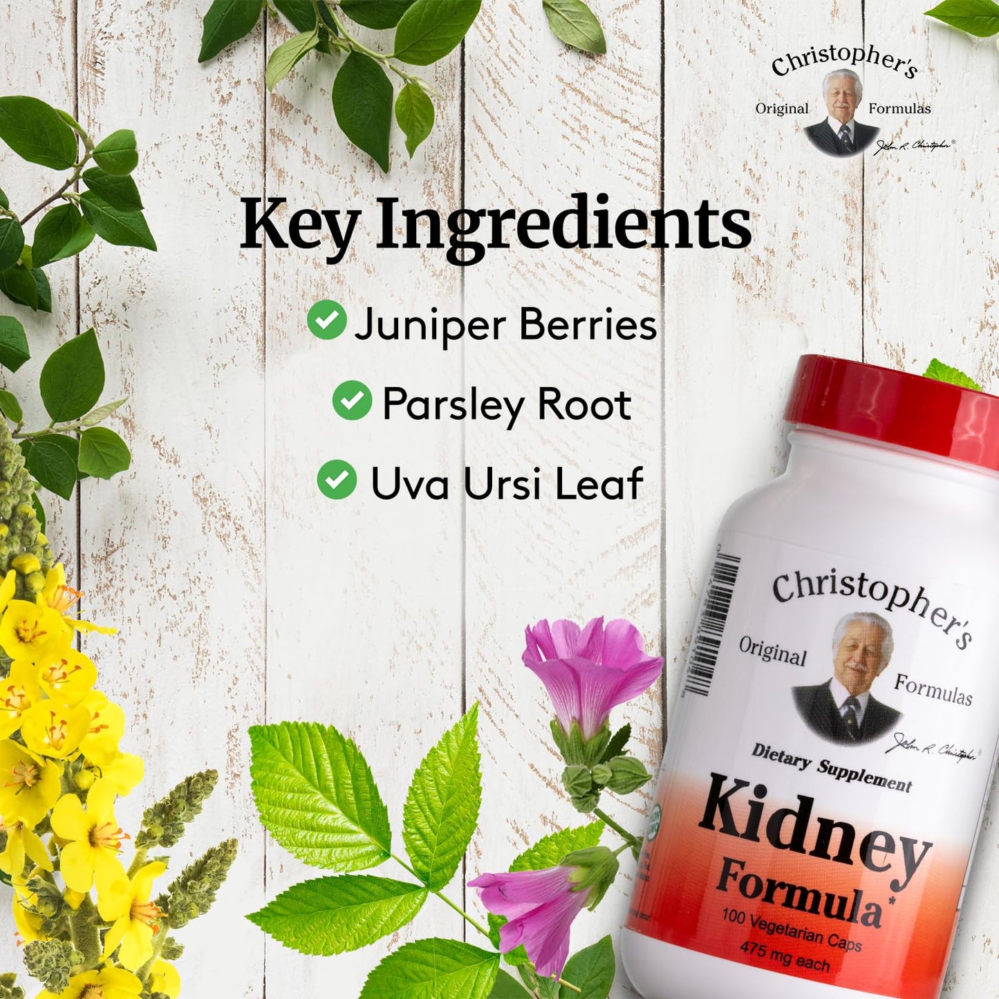 Christopher's Original Formulas Kidney Formula - 500 mg, 100 Caps