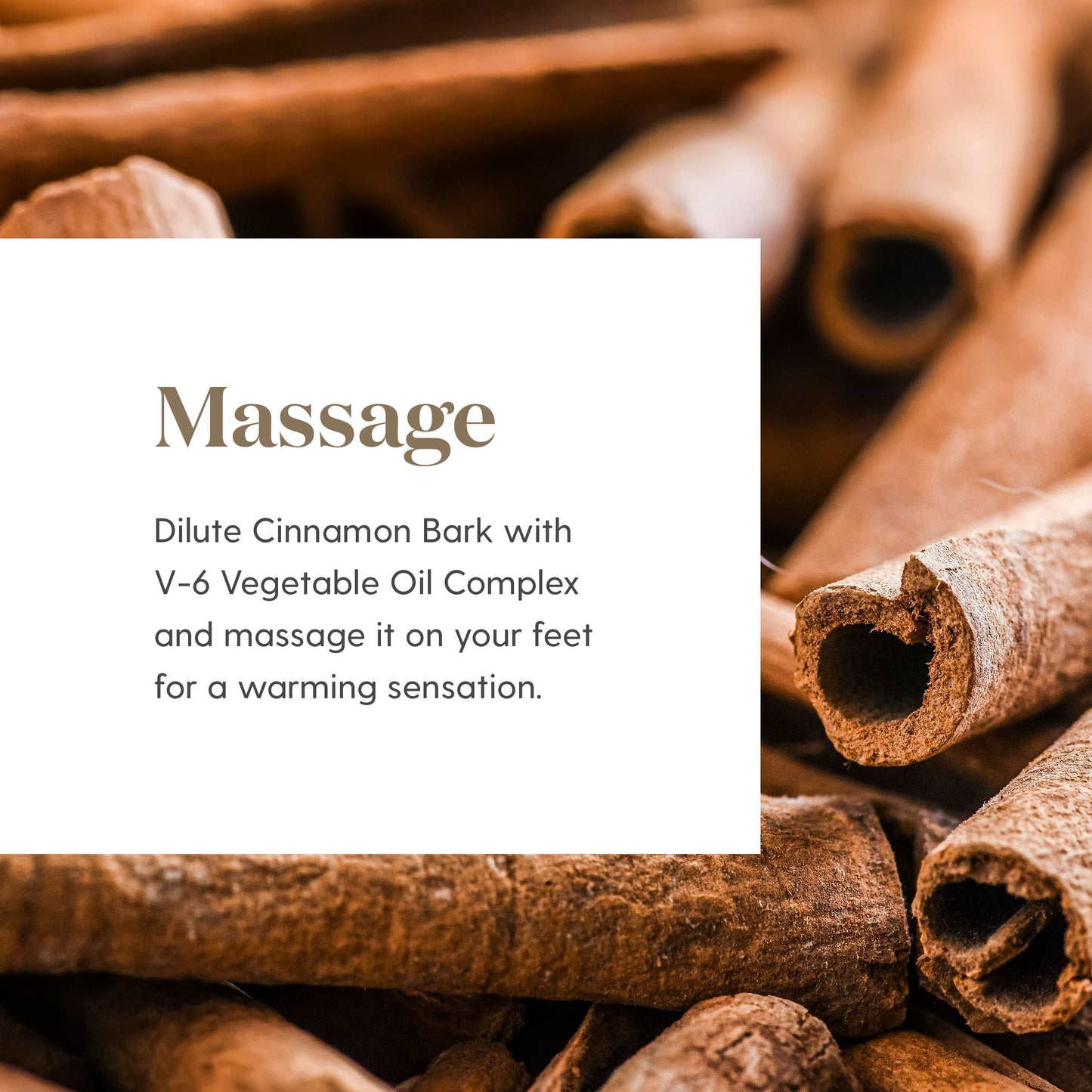 Cinnamon Bark Esssential Oils 5ml by Young Living Essential Oils