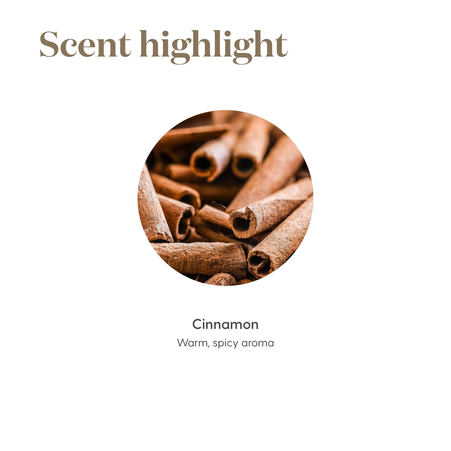 Cinnamon Bark Esssential Oils 5ml by Young Living Essential Oils