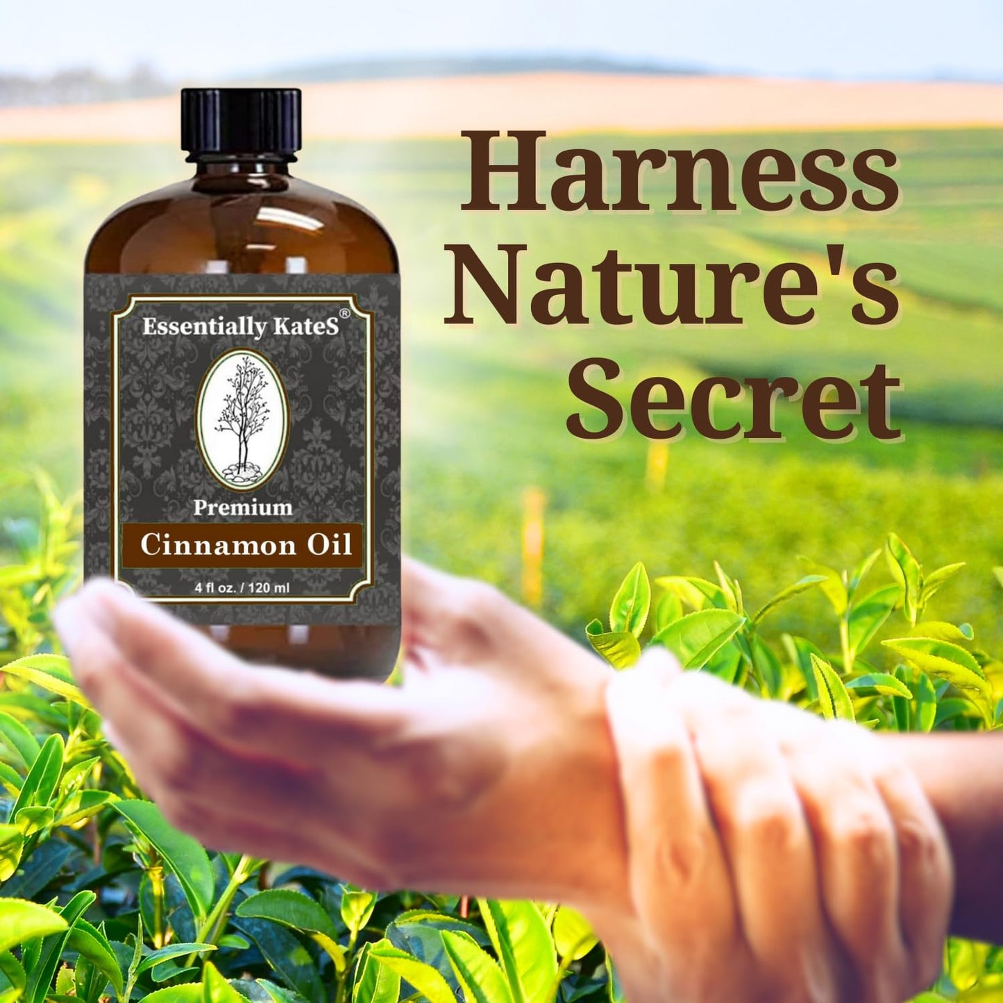Premium Cinnamon Oil 4 Fl Oz – Pure, Natural & Therapeutic | Diffuser & DIY Soap