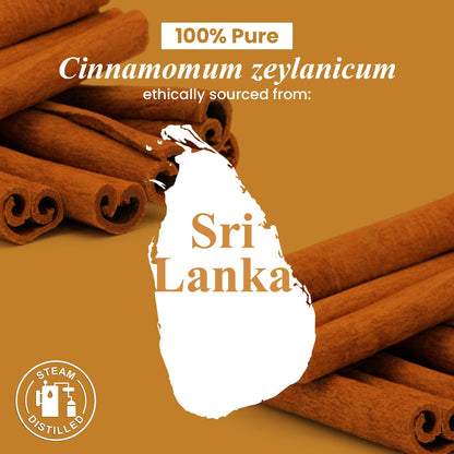 Handcraft Blends Cinnamon Essential Oil – 4oz | 100% Pure & Natural, Premium Grade