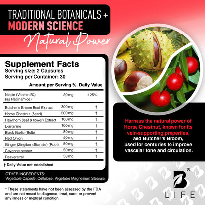 Circulation Support for Vein & Artery Health | Vascular Support with L-Arginine, Horse Chestnut & Butcher’s Broom | 60 Capsules