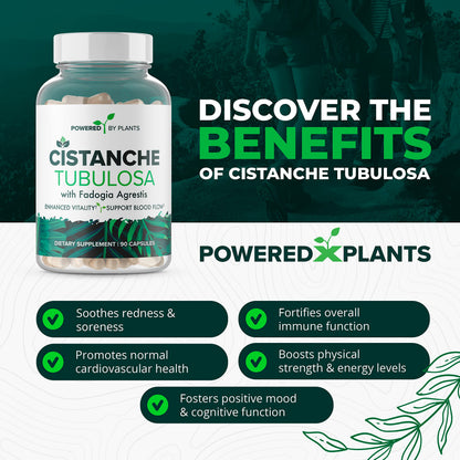 Cistanche Tubulosa with Fadogia Agrestis – Powered X Plants, 90 Servings