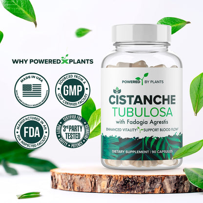 Cistanche Tubulosa with Fadogia Agrestis – Powered X Plants, 90 Servings