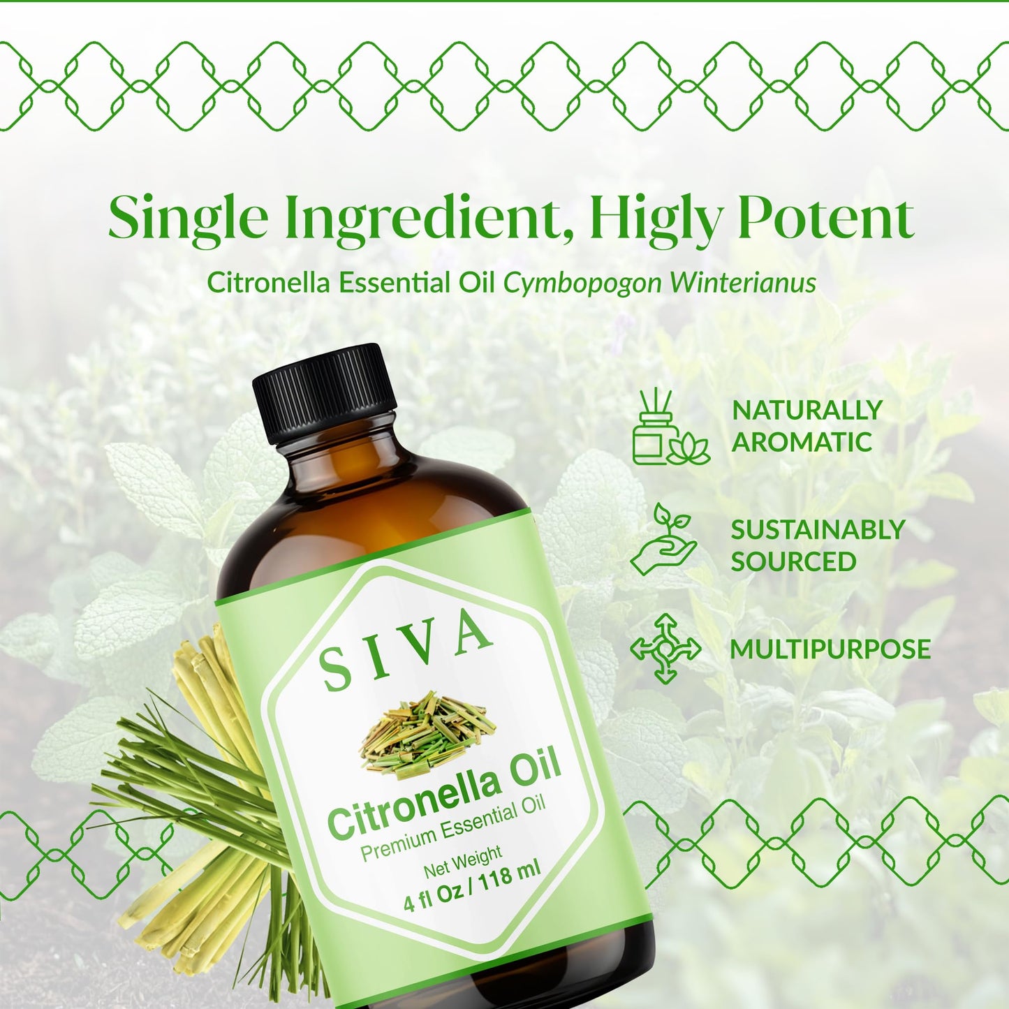 Siva Citronella Essential Oil 4oz - 100% Natural | Diffuser, Skin & Hair Care | With Dropper