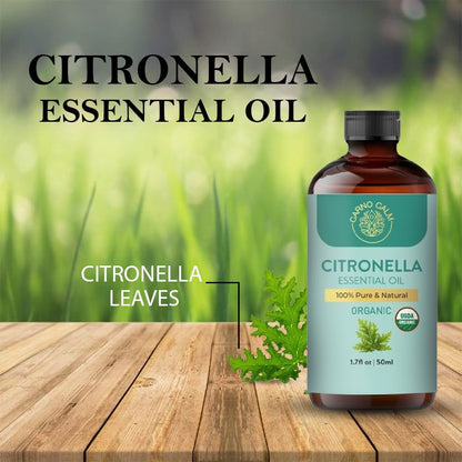 Carno Calm Citronella Essential Oil - USDA Organic, Steam Distilled 1.7 fl oz | Therapeutic Grade