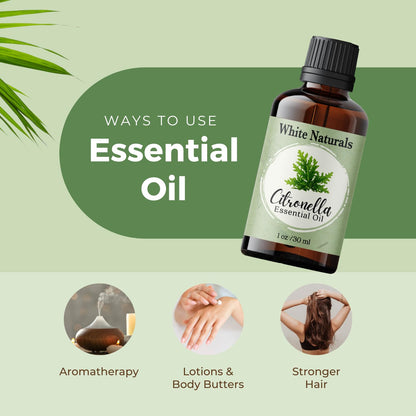 Citronella Essential Oil - Pure & Natural, Premium Grade for Aromatherapy