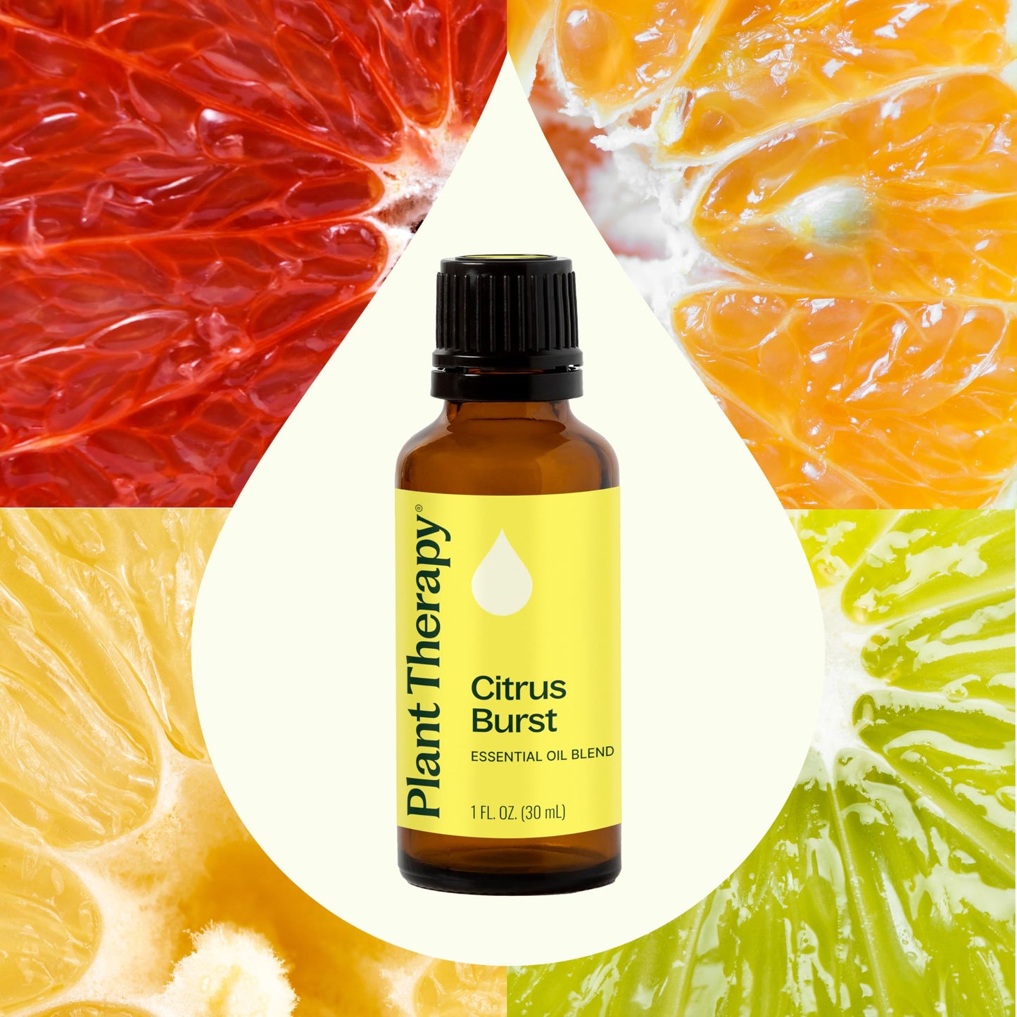 Plant Therapy Citrus Burst Essential Oil Blend 30 mL (1 oz) – 100% Pure, Undiluted, Therapeutic Grade