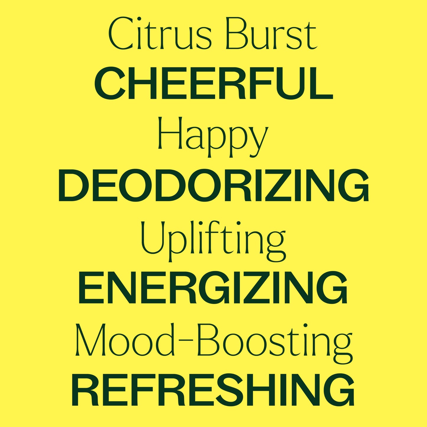 Plant Therapy Citrus Burst Essential Oil Blend 30 mL (1 oz) – 100% Pure, Undiluted, Therapeutic Grade