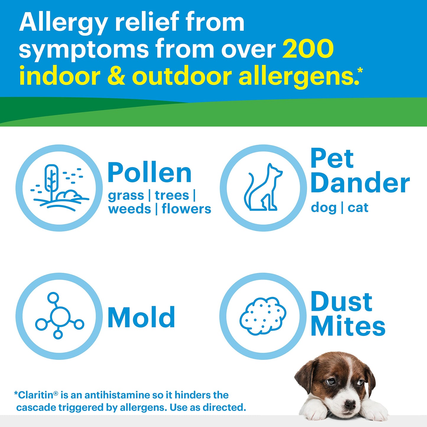 Claritin Allergy 24 Hour 10mg Tablets - 45 ct | Non-Drowsy, Fast Relief