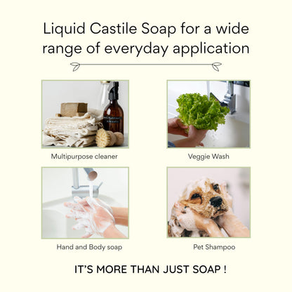Claya Liquid Castile Soap – Organic, Biodegradable, Gentle for Sensitive Skin (16 fl oz, Laurel Berry)