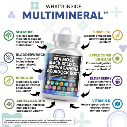 Clean Nutraceuticals Sea Moss & Black Seed Oil 15-in-1 with Ashwagandha, Turmeric, Vitamin C & D3