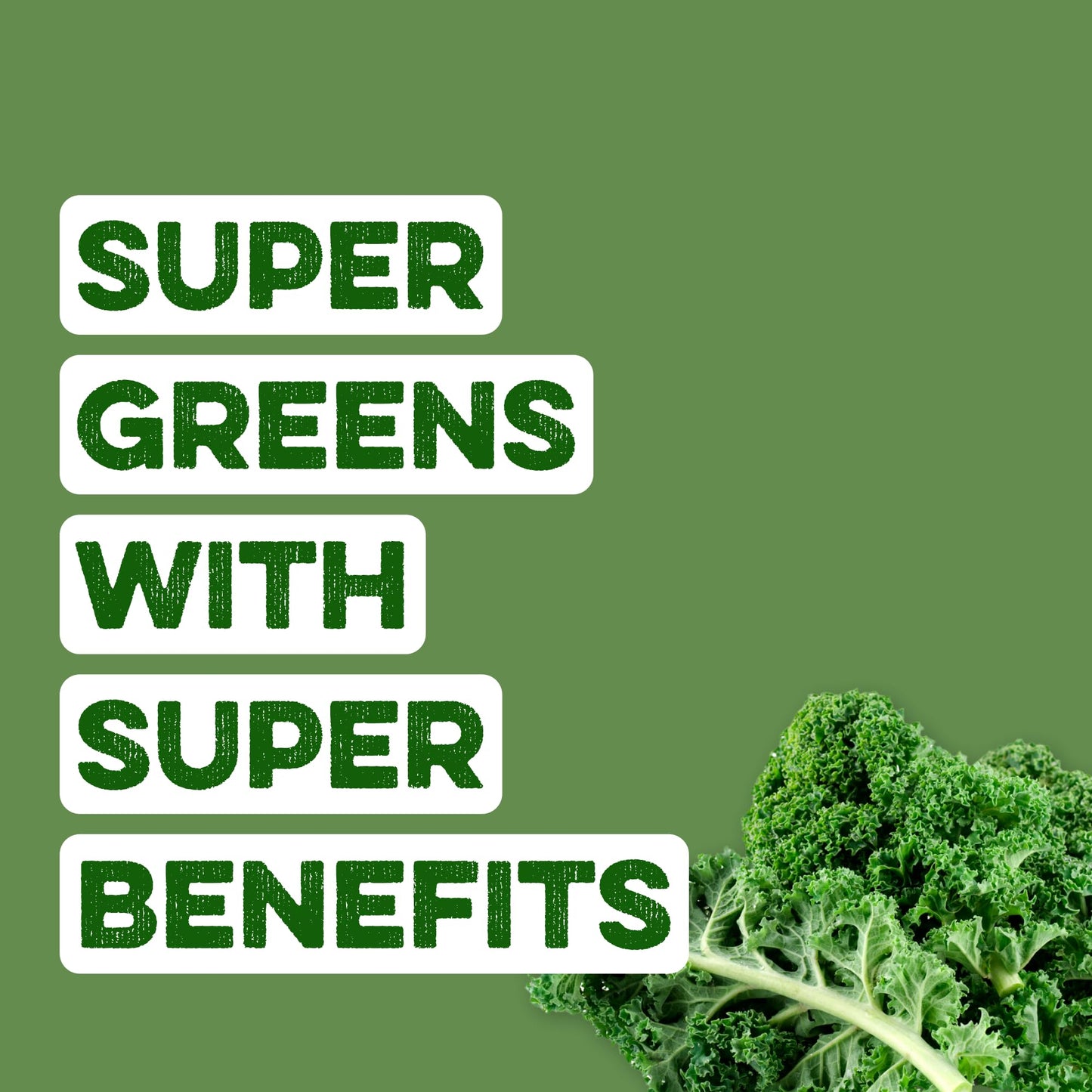 Clean Simple Eats Super Greens Powder – Gluten Free, Naturally Flavored, 30 Servings