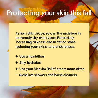 Clearbody Organics Manuka Honey Cream – Soothing Eczema Relief & Deep Hydration (2 oz)