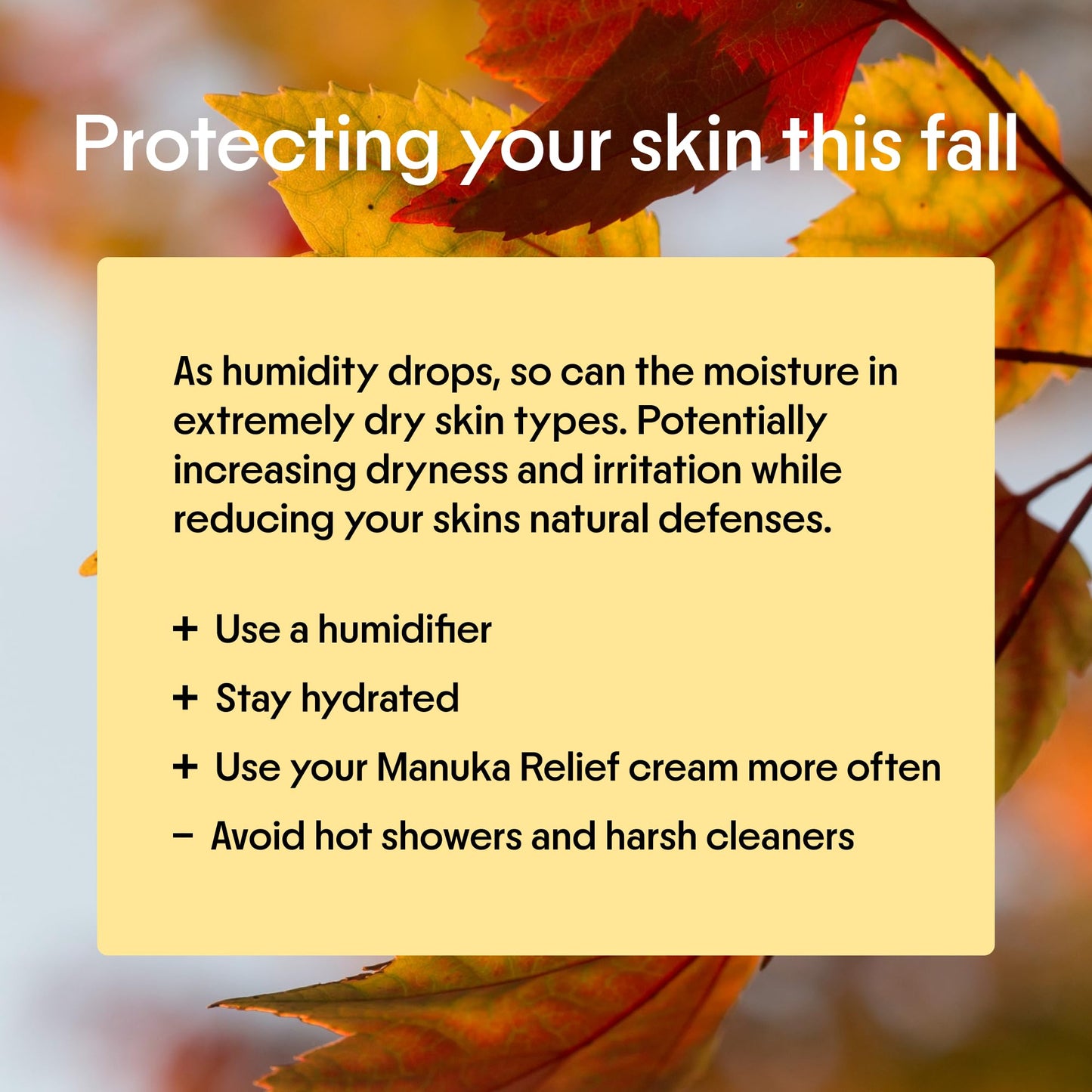 Clearbody Organics Manuka Honey Cream – Soothing Eczema Relief & Deep Hydration (2 oz)