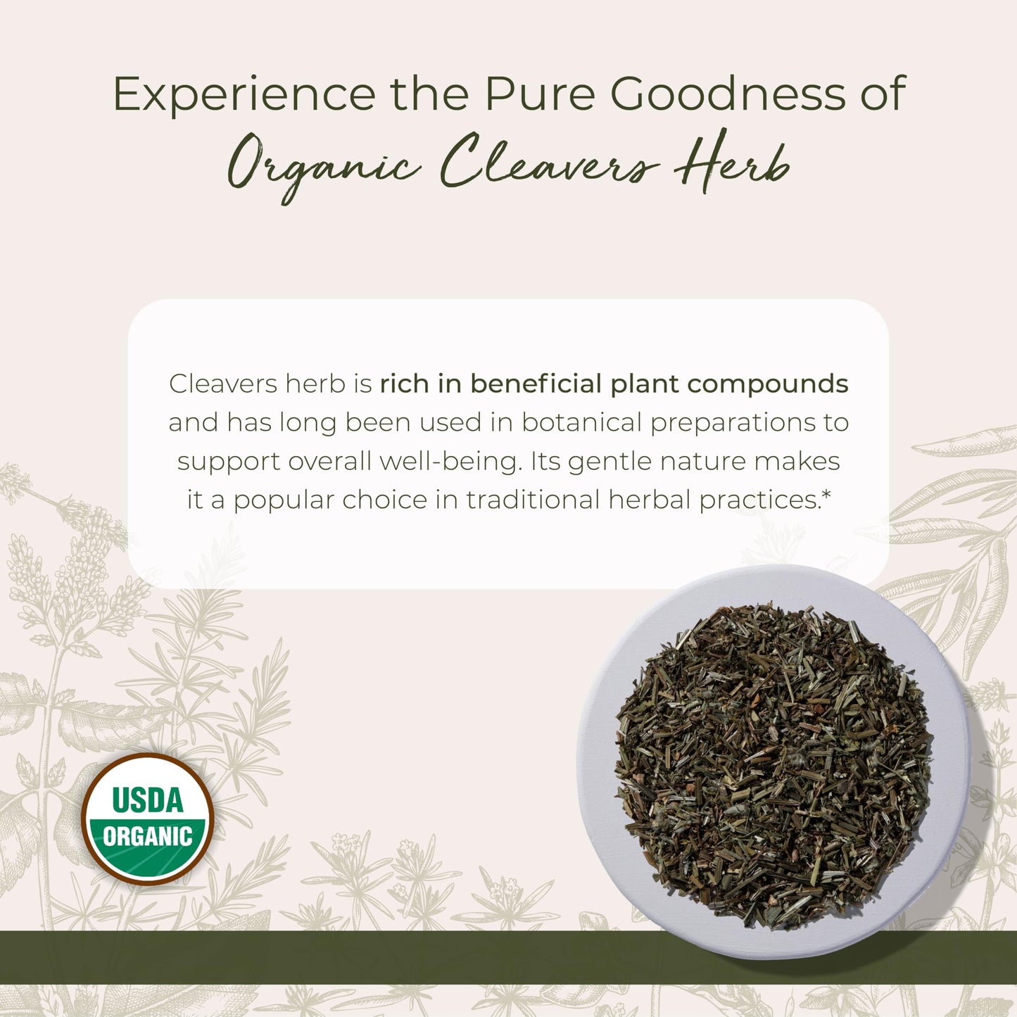 Starwest Botanicals Cleavers Herb Organic – Dried Loose Leaf, 1 lb Bulk, Kosher & Non-GMO