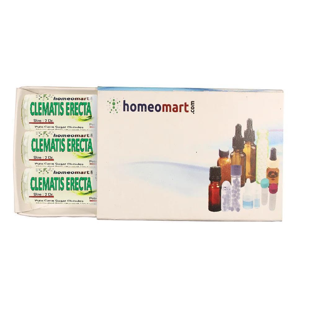 Clematis Erecta Homeopathy Pellets 30C Potency – Pack of 3 | HomeoMart
