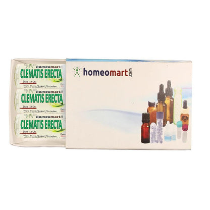 Clematis Erecta Homeopathy Pellets 30C Potency – Pack of 3 | HomeoMart