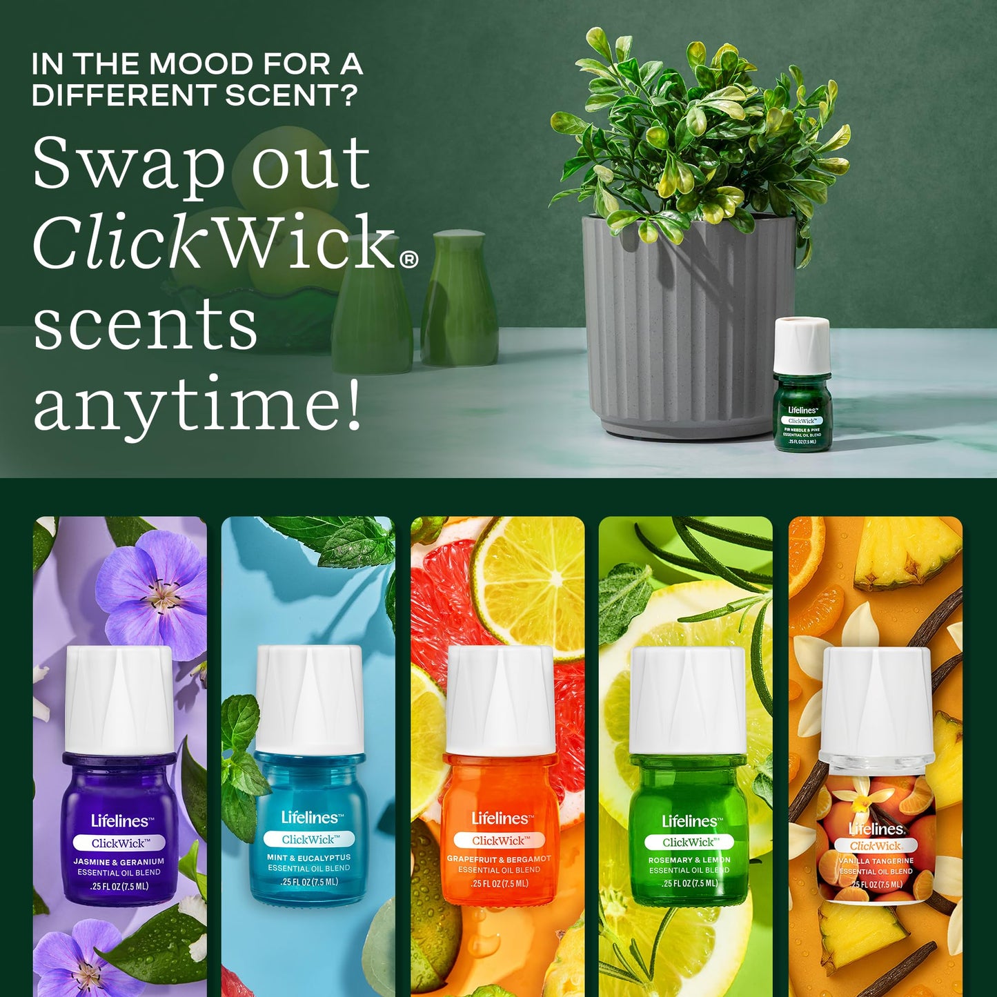 ClickWick Walk in the Woods 3-Pack for Lifelines Diffusers – Essential Oil Blends