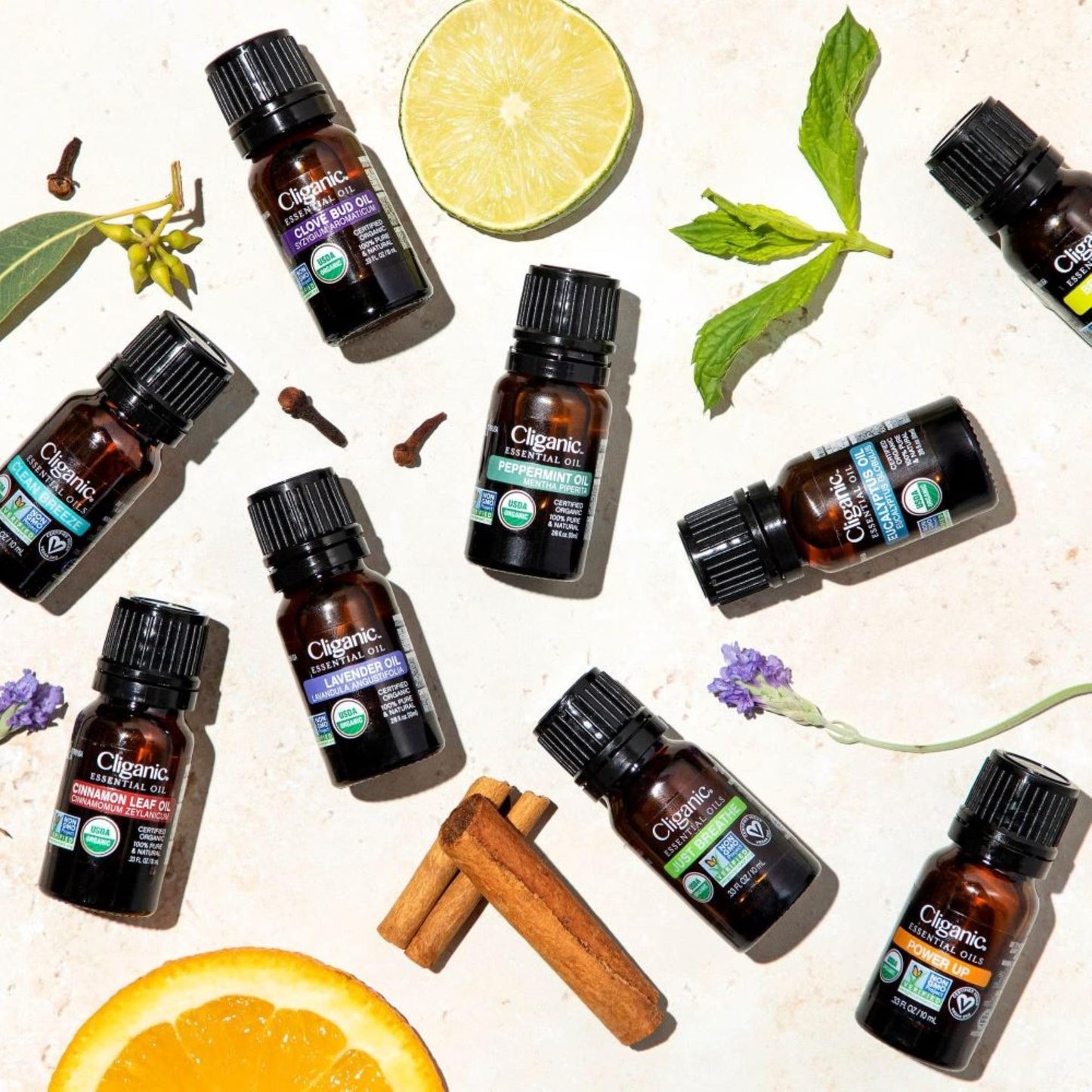 Cliganic Organic Citronella Essential Oil – 100% Pure & Natural for Aromatherapy Diffuser | Non-GMO Verified (Packaging May Vary)