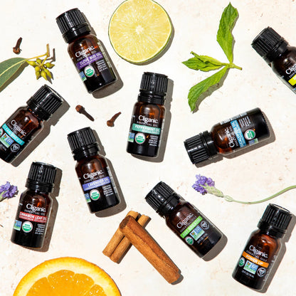 Cliganic Organic Oregano Essential Oil – 0.33 oz | 100% Pure
