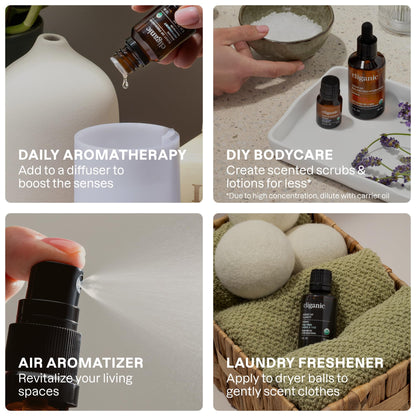 Cliganic Organic Aromatherapy Essential Oils Gift Set (Top 8 Iconics) – 100% Pure